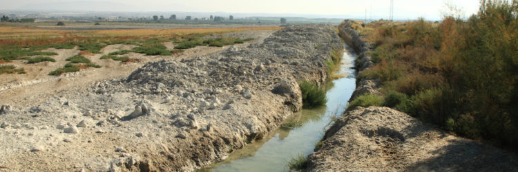 El Humedal del Baíco se muere a consecuencia de las numerosas zanjas que se llevan a cabo para contribuir a la desecación del terreno. Dos años después de que se iniciara el PLAN DE SOSTENIBILIDAD 2015-2020 : esta fotografía muestra como un RECURSO DE INTERÉS TURÍSTICO Y MEDIOAMBIENTAL comienza su agonia. Fotografía cedida por José Ángel Rodriguez Sanchez, pte de la Asociación Proyecto Sierra de BazaI