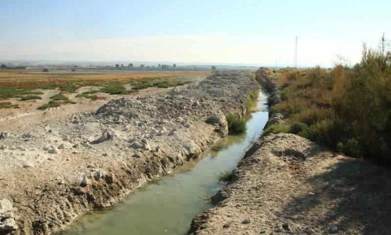 El Humedal del Baíco se muere a consecuencia de las numerosas zanjas que se llevan a cabo para contribuir a la desecación del terreno. Dos años después de que se iniciara el PLAN DE SOSTENIBILIDAD 2015-2020 : esta fotografía muestra como un RECURSO DE INTERÉS TURÍSTICO Y MEDIOAMBIENTAL comienza su agonia. Fotografía cedida por José Ángel Rodriguez Sanchez, pte de la Asociación Proyecto Sierra de BazaI