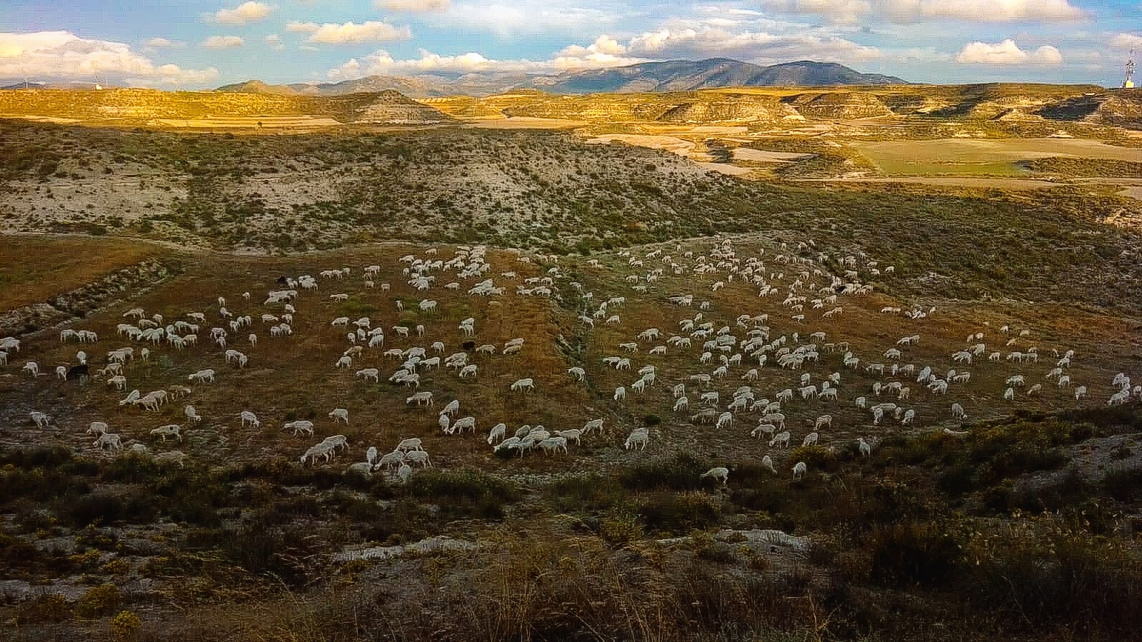 El Altiplano, Geoparque de Granada, condenado a la extinción desde el Gobierno de Pedro Sánchez. El que ha nacido a nivel mundial y desde la UNESCO, como territorio para el estudio de la evolución climática en la tierra desde el CUATERNARIO hasta nuestros días se ve abocado a perder sus paisajes más ancestrales por dictado gubernamental